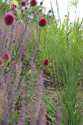 Similar image 11501795