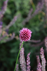 Similar image 11501796