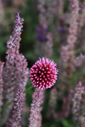 Similar image 11501797