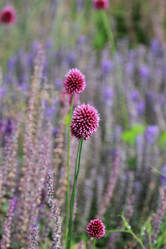 Similar image 11501798