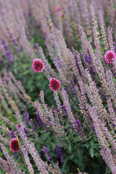 Similar image 11502331