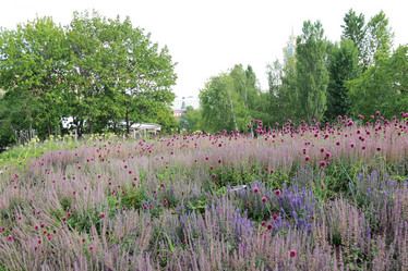 Similar image 11502333