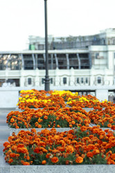 Similar image 11502468