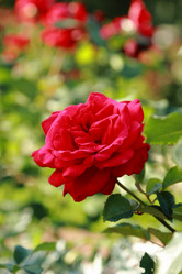 Similar image 11497199