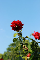 Similar image 11497221