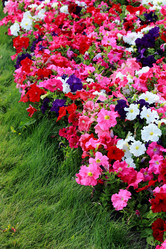 Similar image 11497237