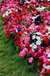 Similar image 11497238