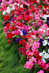 Similar image 11497176