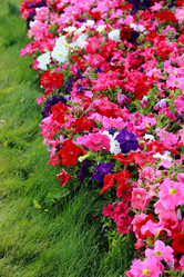 Similar image 11497177