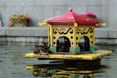 Similar image 11497178