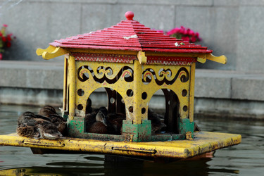 Similar image 11497117