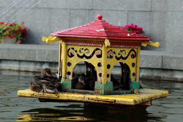 Similar image 11497118