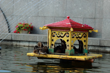 Similar image 11497119