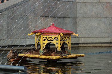 Similar image 11497138