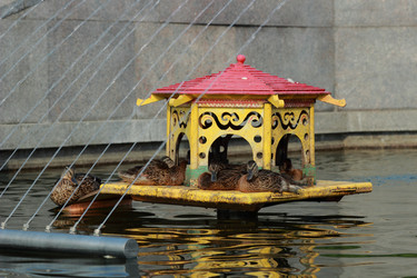 Similar image 11497140