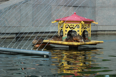 Similar image 11497156