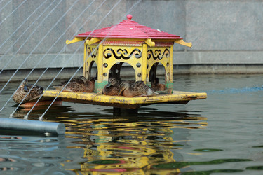 Similar image 11497157