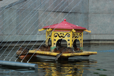 Similar image 11497158