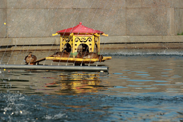 Similar image 11497505