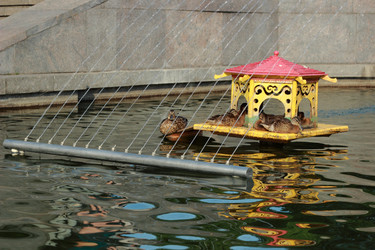 Similar image 11497507