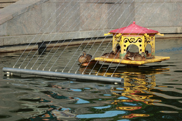 Similar image 11497541