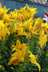 Similar image 11497564