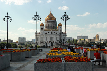 Similar image 11497781