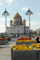 Similar image 11497743