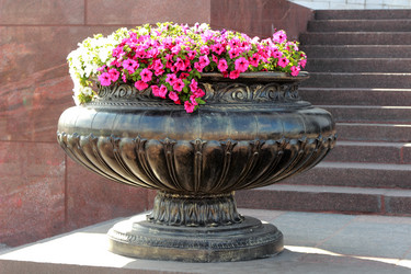 Similar image 11497875