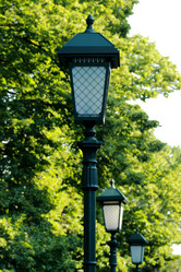 Similar image 11498164