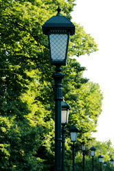 Similar image 11498165