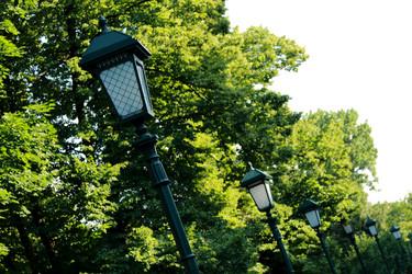 Similar image 11498167