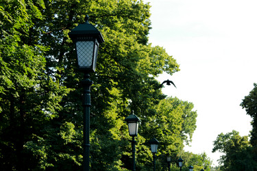 Similar image 11498131