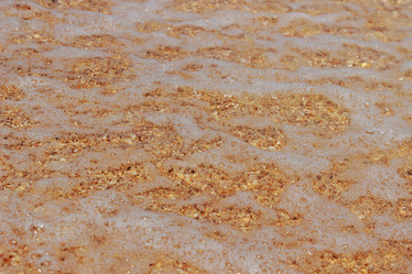 Similar image 11509218