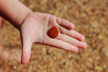 Similar image 11497644