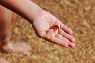 Similar image 11497645