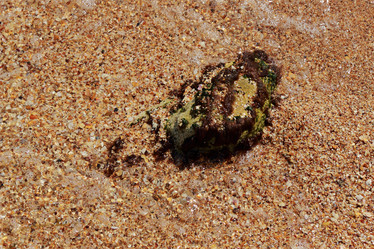 Similar image 11497664