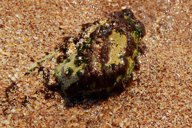 Similar image 11497685