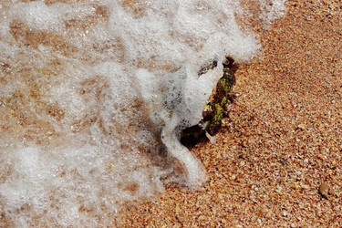 Similar image 11497686