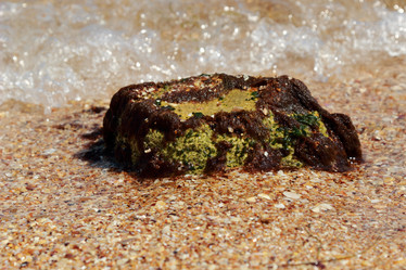 Similar image 11497800