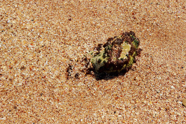 Similar image 11497801