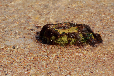 Similar image 11497802