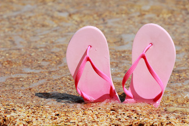 Similar image 11497745