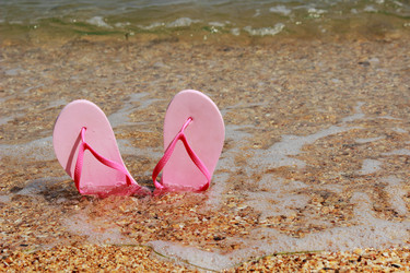 Similar image 11497762