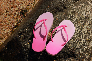 Similar image 11497763