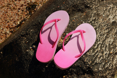 Similar image 11497764