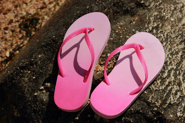 Similar image 11497765