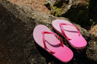 Similar image 11497992