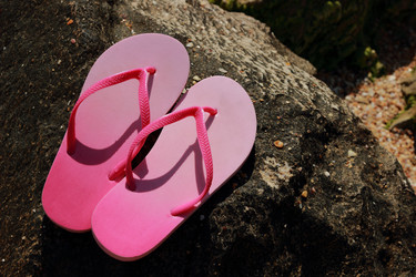 Similar image 11497993