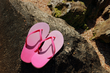 Similar image 11497894